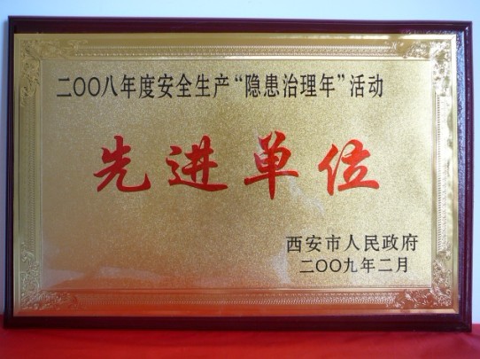 2009年2月，被西安市人民政府評(píng)為2008年度安全生產(chǎn)“隱患治理年”活動(dòng)先進(jìn)單位